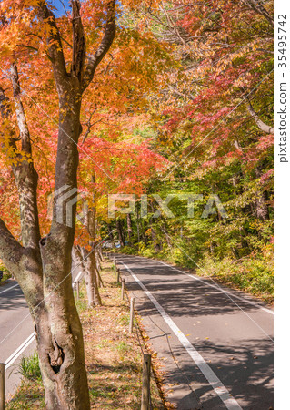 Autumn in Japan Fuji five lakes, landscape of Lake Kawaguchi 35495742