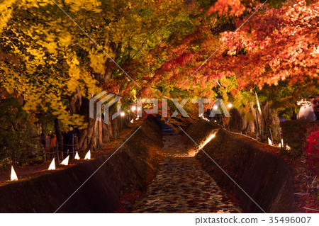 秋天湖Kawaguchi湖一半天空雞爪子打開 35496007