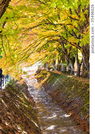 Autumn In Kawaguchiko Half Of The Landscape The Stock Photo