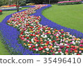 Flowers 35496410