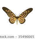 Large Uganda butterfly (Druryeia Antimachus) 35496665