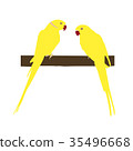 Two bright yellow parrots sit on a branch 35496668
