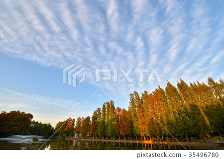 Besshonuma公園已經開始變色 35496780