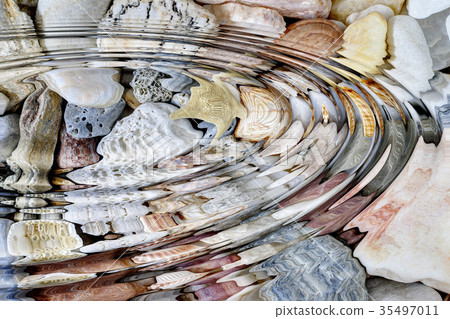 Water ripples above sea shells and starfish Water ripples above sea shells and starfish 35497011
