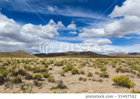 A desert on the altiplano of the andes in Bolivia 35497582