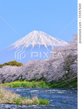 Spring scenery from Ryujin-223758 35497689