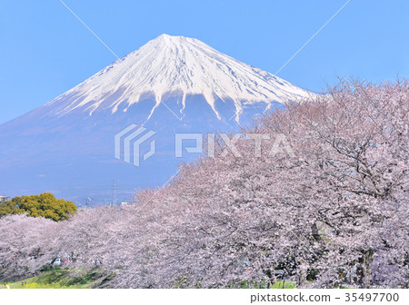 Spring scenery from Juni riverbank-223769 35497700