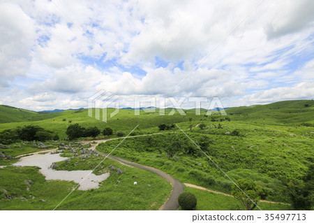 Biei City, Yamaguchi Prefecture Akiyoshidai 35497713