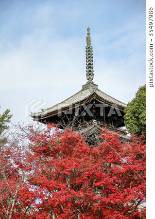 Ninna-ji, five-storied pagoda and colored leaves 35497986