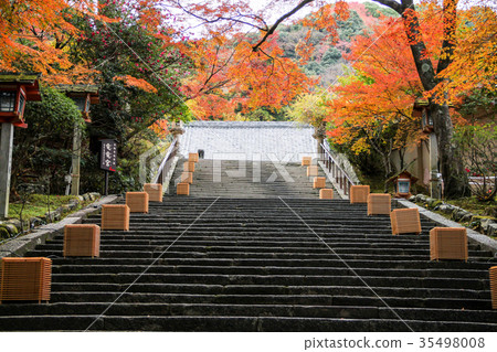 Autumn leaves on the stone steps of the open space Horinji Temple Autumn leaves on the stone steps of the open space Horinji Temple 35498008