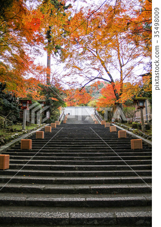 Autumn leaves on the stone steps of the open space Horinji Temple Autumn leaves on the stone steps of the open space Horinji Temple 35498009