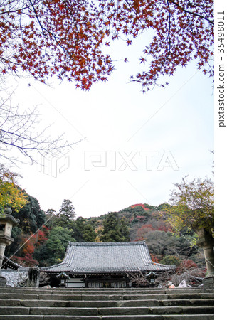 主要大廳和天空的秋葉 主要大廳和天空的秋葉 35498011
