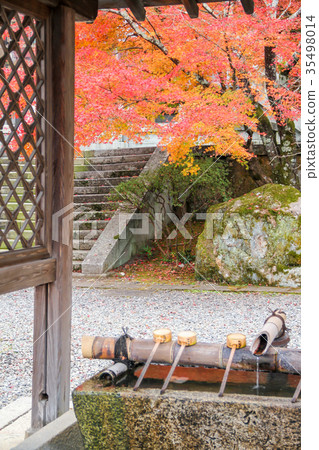 Water and autumn leaves of the sky Water and autumn leaves of the sky 35498014