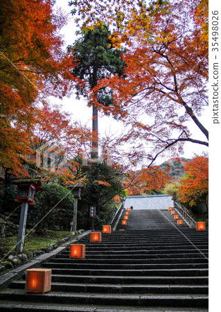 Kokuzou Horinji, the autumn leaves of the approach stone steps Kokuzou Horinji, the autumn leaves of the approach stone steps 35498026