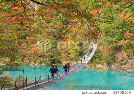 秋天Shibatakyo夢想的吊橋 秋天Shibatakyo夢想的吊橋 35498109