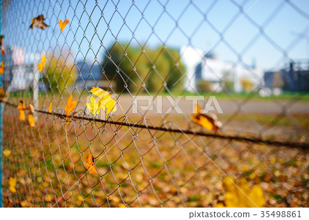 Metallic net-shaped fence from wire with autumn Metallic net-shaped fence from wire with autumn 35498861