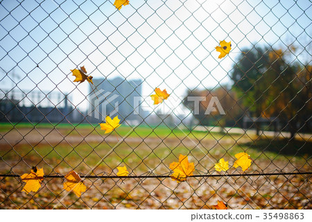 Metallic net-shaped fence from wire with autumn Metallic net-shaped fence from wire with autumn 35498863