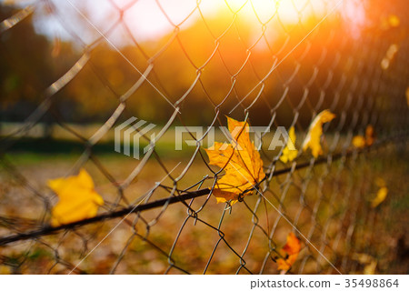Close up metallic net-shaped fence from wire Close up metallic net-shaped fence from wire 35498864