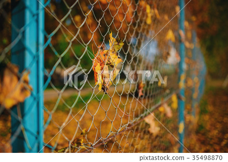 Close up metallic net-shaped fence from wire with  35498870