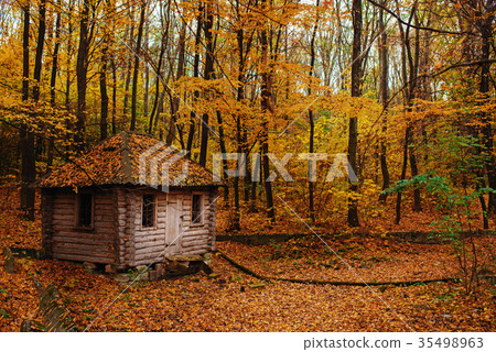 Remoted old wooden shack of ranger in autumn 35498963