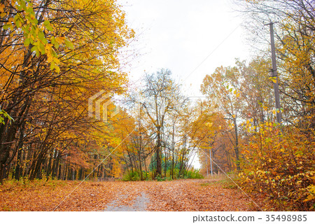 Bright and colorful landscape of sunny autumn Bright and colorful landscape of sunny autumn 35498985