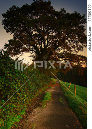 Hiking trail, Odenthal, Germany Hiking trail, Odenthal, Germany 35500193