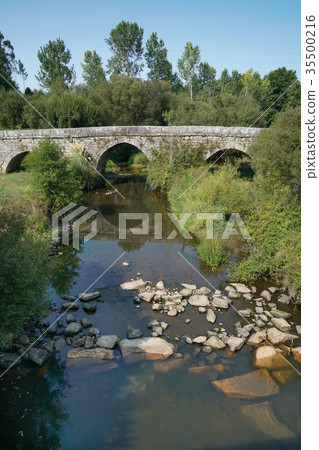 Tui, Camino de Santiago, Spain 35500216