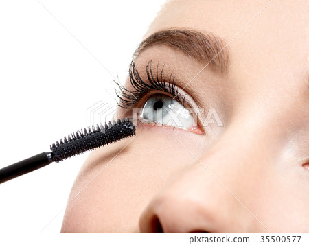 women eye with long black eyelashes and makeup brush women eye with long black eyelashes and makeup brush 35500577