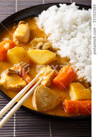 Japanese curry with chicken and rice close-up Japanese curry with chicken and rice close-up 35502089