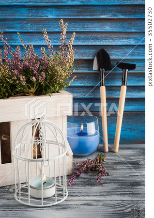 Pink heather, lit blue candle and gardening tools 35502730