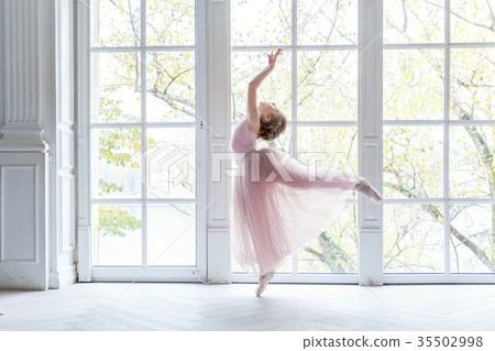 Young ballet dancer in dance class 35502998