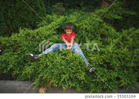 little boy lying on juniper little boy lying on juniper 35503104