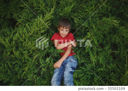 little boy lying on juniper 35503109