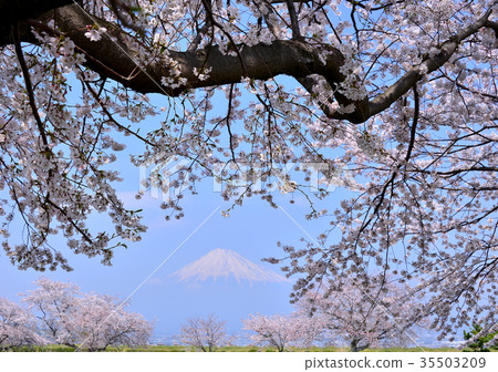 Spring scenery from Sakai Park-223717 Spring scenery from Sakai Park-223717 35503209