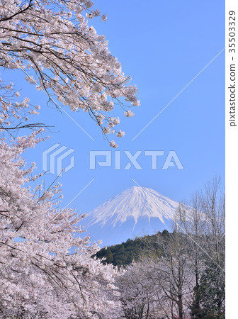 Spring scenery from Iwamotoyama Park-223671 35503329