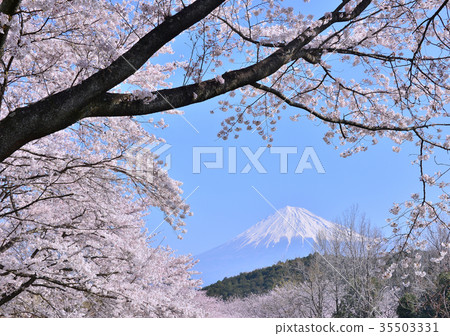 Spring scenery from Iwamotoyama park-223673 Spring scenery from Iwamotoyama park-223673 35503331