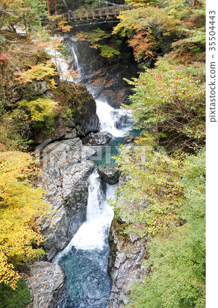 Autumn leaves of the Mitarai valley Autumn leaves of the Mitarai valley 35504443
