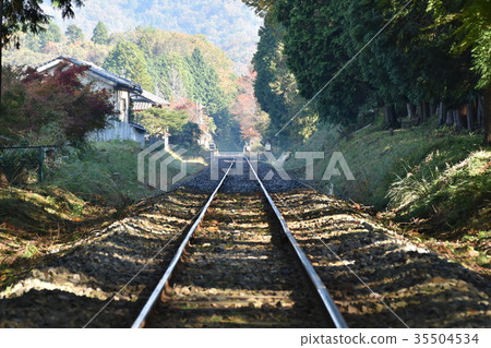 Shigaraki Kogen鐵路 35504534