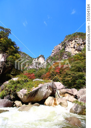 Autumn leaves of Shosenkyo Gorge 35504584