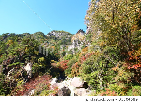 Autumn leaves of Shosenkyo Gorge 35504589