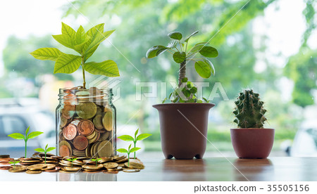 Gold coins and seed in clear bottle with Cactus in pot on the wooden table over the photo blurred background, Business investment growth concept Gold coins and seed in clear bottle with Cactus in pot on the wooden table over the photo blurred background, Business investment growth concept 35505156