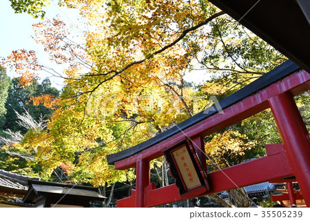 Tamausuji Temple 35505239