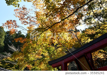 Tamausuji寺 35505241