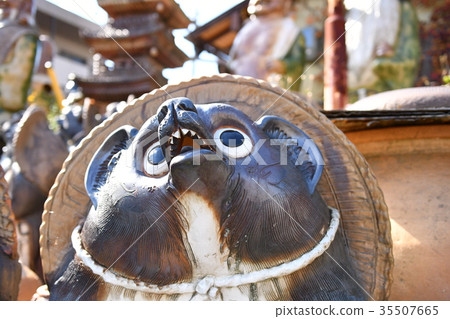 Shogaku浣熊 Shogaku浣熊 35507665