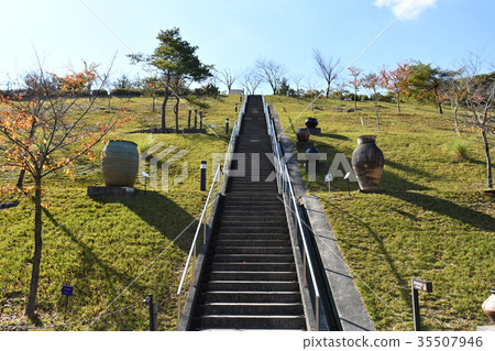 Ceramic Forest Ceramic Forest 35507946