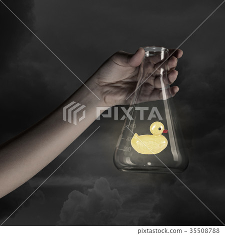Duck toy 35508788