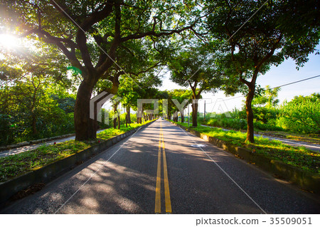 台灣台東綠色隧道與日光大橋Asia Taiwan Taitung Road Bridge 台灣台東綠色隧道與日光大橋Asia Taiwan Taitung Road Bridge 35509051