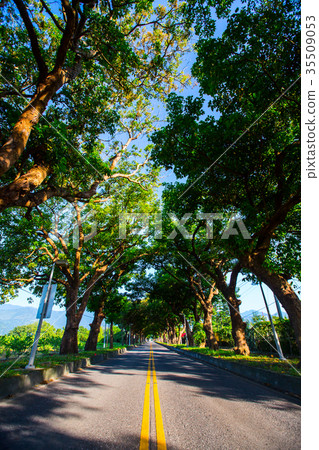 台灣台東綠色隧道與日光大橋Asia Taiwan Taitung Road Bridge 35509053