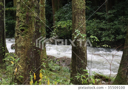 Yamaguchi Akiyoshi-dong 35509100