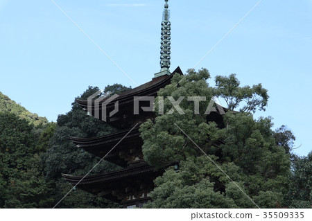 Yamaguchi Shogakuji Temple 35509335